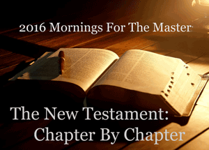 New Testament Study